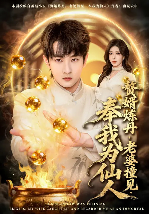 赘婿炼丹，老婆撞见，奉我为仙人第22集