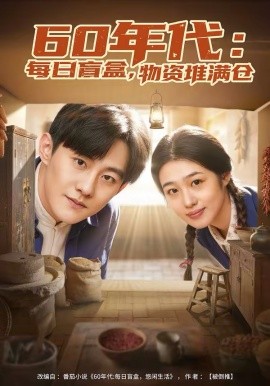60年代：每日盲盒，物资堆满仓第02集