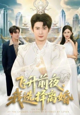 飞升前夜，我选择离婚第39集