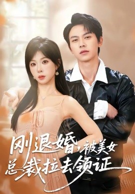 刚退婚，被美女总裁拉去领证第01集