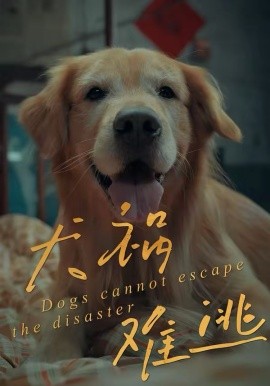 犬祸难逃第01集