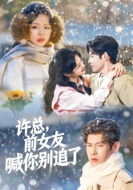 许总，前女友喊你别追了第16集