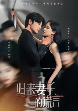 归来妻子的谎言第30集