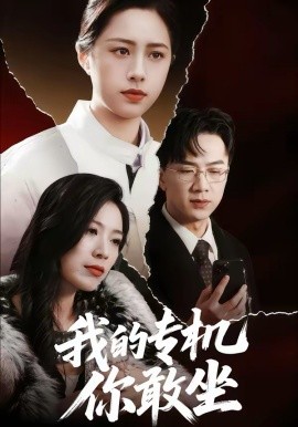 我的专机你敢坐第37集