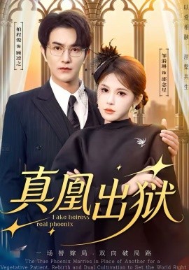 真凰出狱第46集