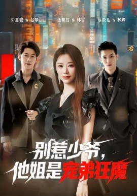 别惹少爷，他姐是宠弟狂魔第17集