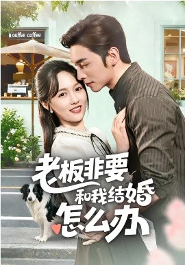 老板非要和我结婚怎么办第01集