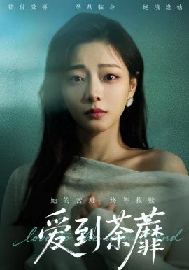 爱到荼蘼第01集