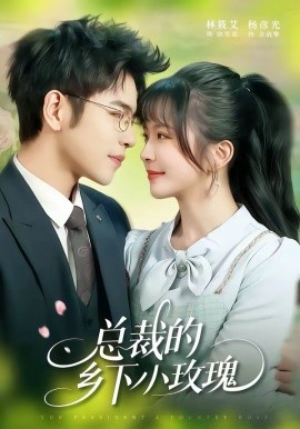 总裁的乡下小玫瑰第01集