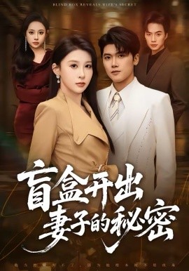 盲盒开出妻子的秘密第21集