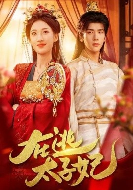 在逃太子妃第01集