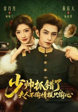 少帅抓错了，夫人不偷情报只偷心第27集