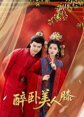 醉卧美人膝第49集