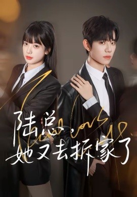 陆总，她又去拆家了第02集