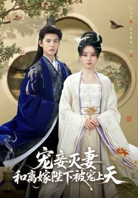 宠妾灭妻，和离嫁陛下被宠上天第45集