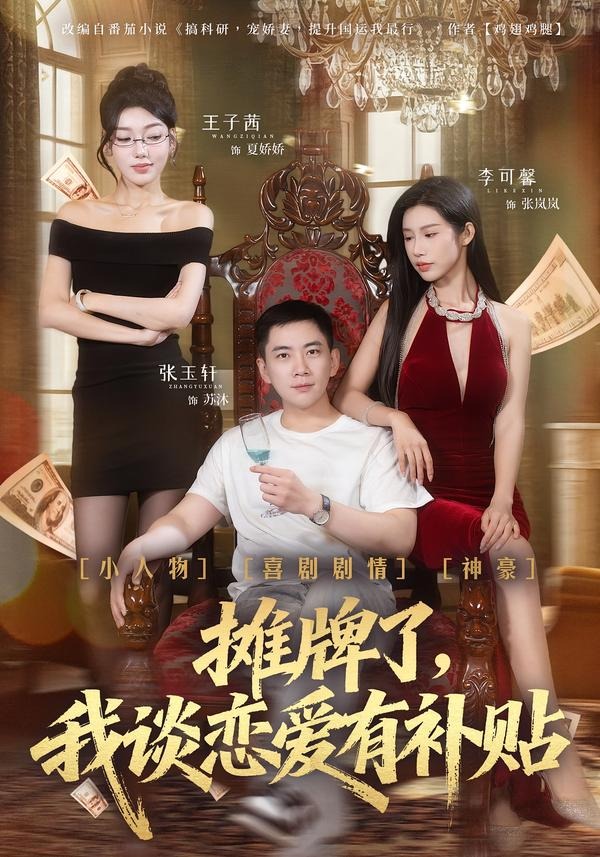 摊牌了，我谈恋爱有补贴HD(大结局)