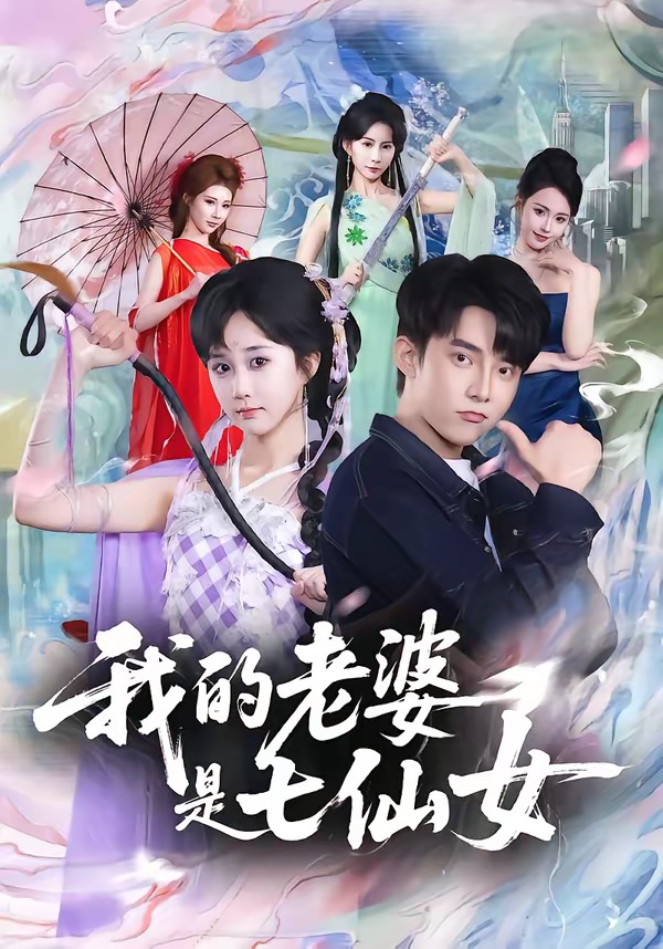 我的老婆是七仙女HD(大结局)