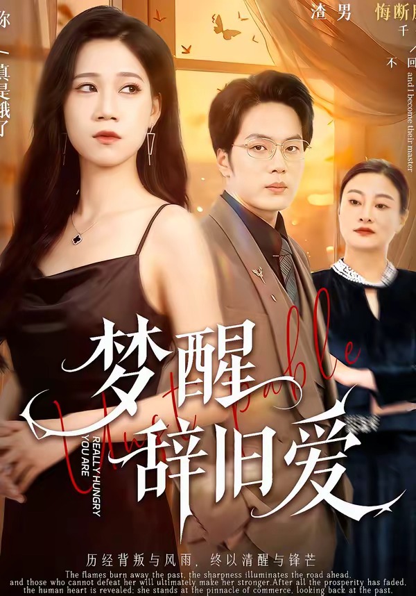 梦醒辞旧爱第01集(大结局)